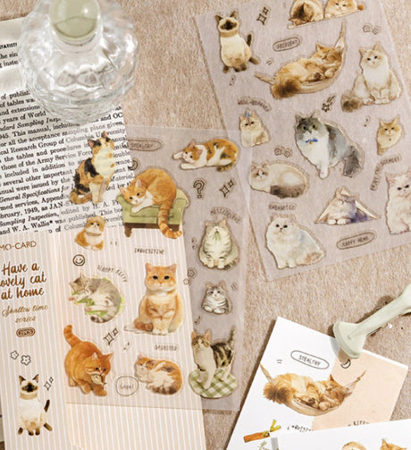 🐈 Katter är temat - Tidformera