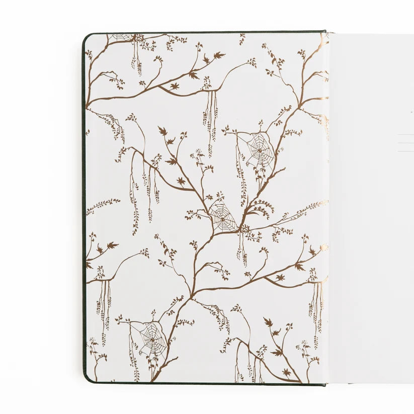 Dotted Notebook - B5 - Apothecary Shelf