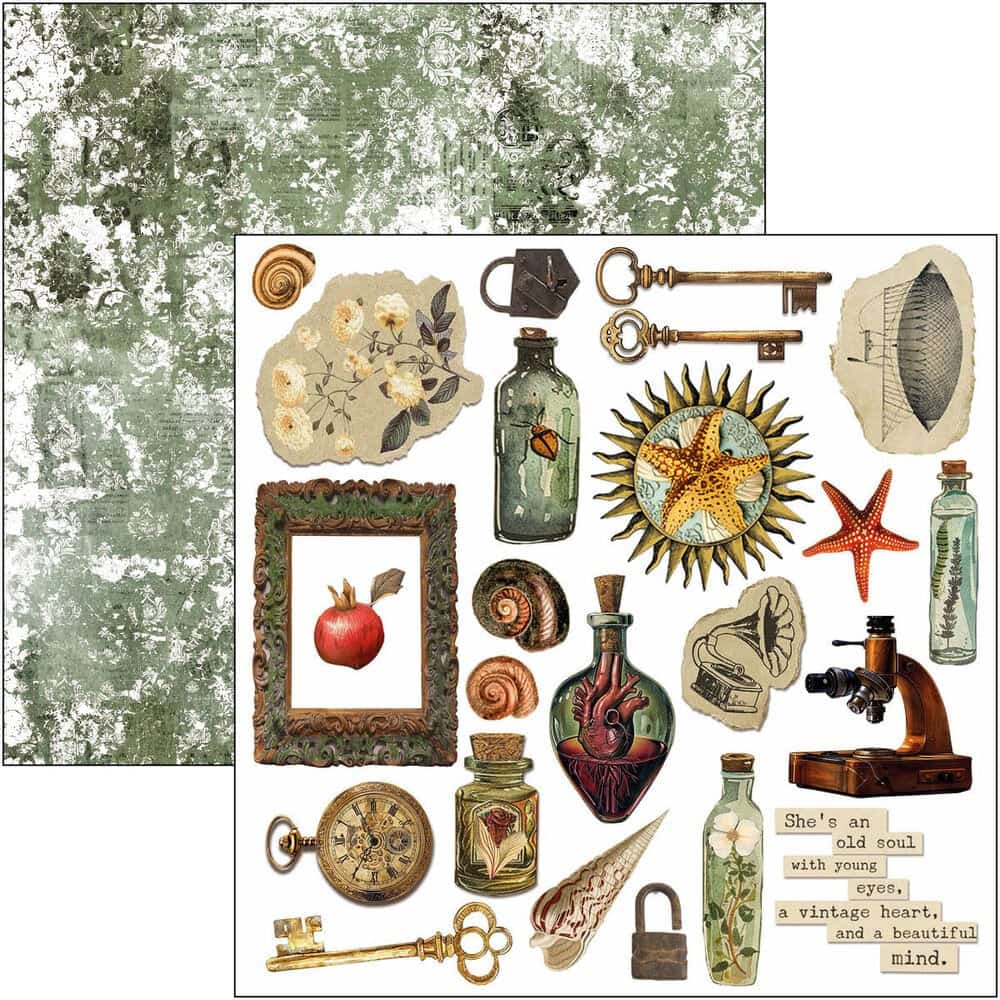 Fussy Cut Pad 24-pack - Cabinet of curiosities