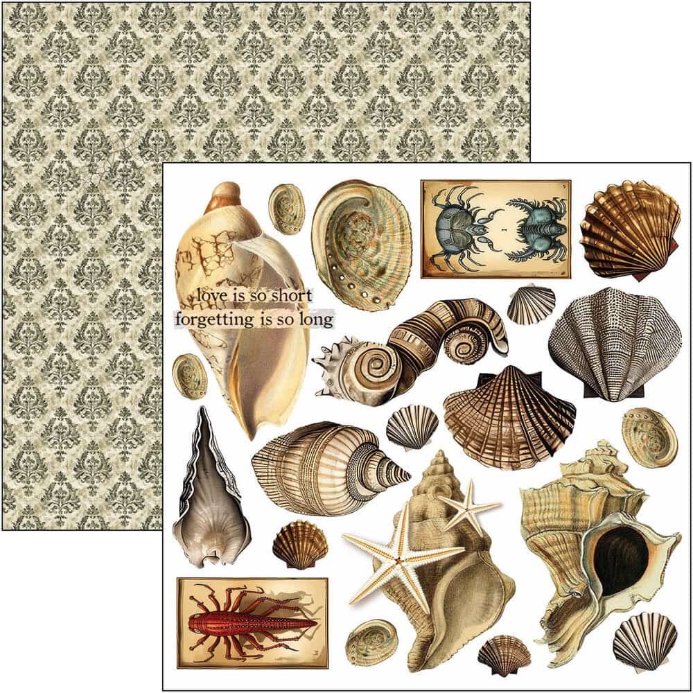 Fussy Cut Pad 24-pack - Cabinet of curiosities