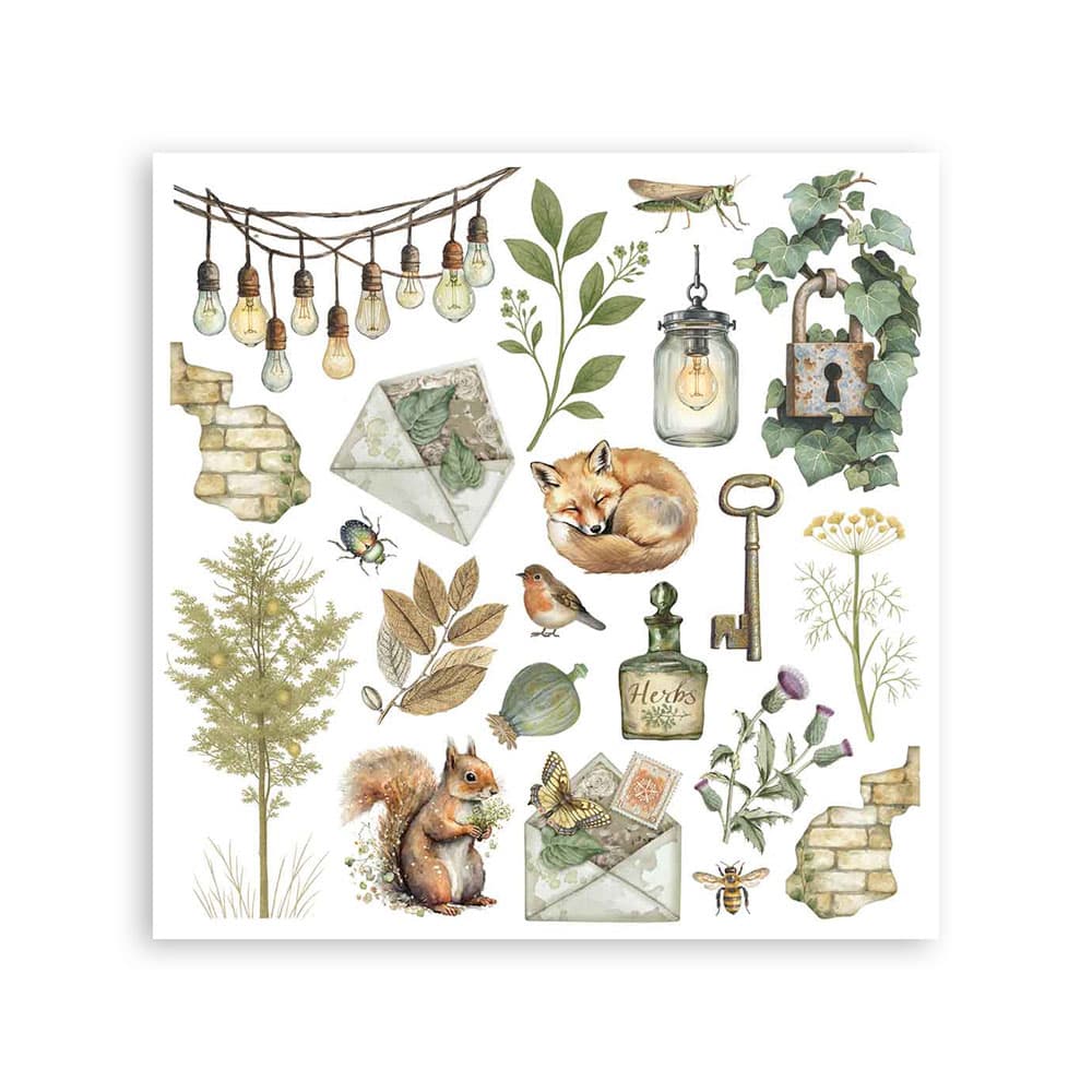 Rub-On Set 6-pack - Herbarium Silvae