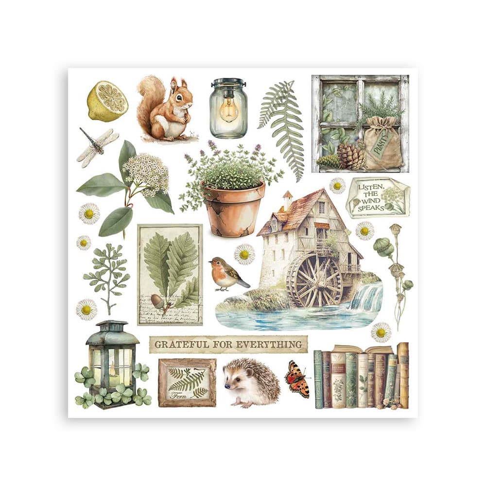 Rub-On Set 6-pack - Herbarium Silvae