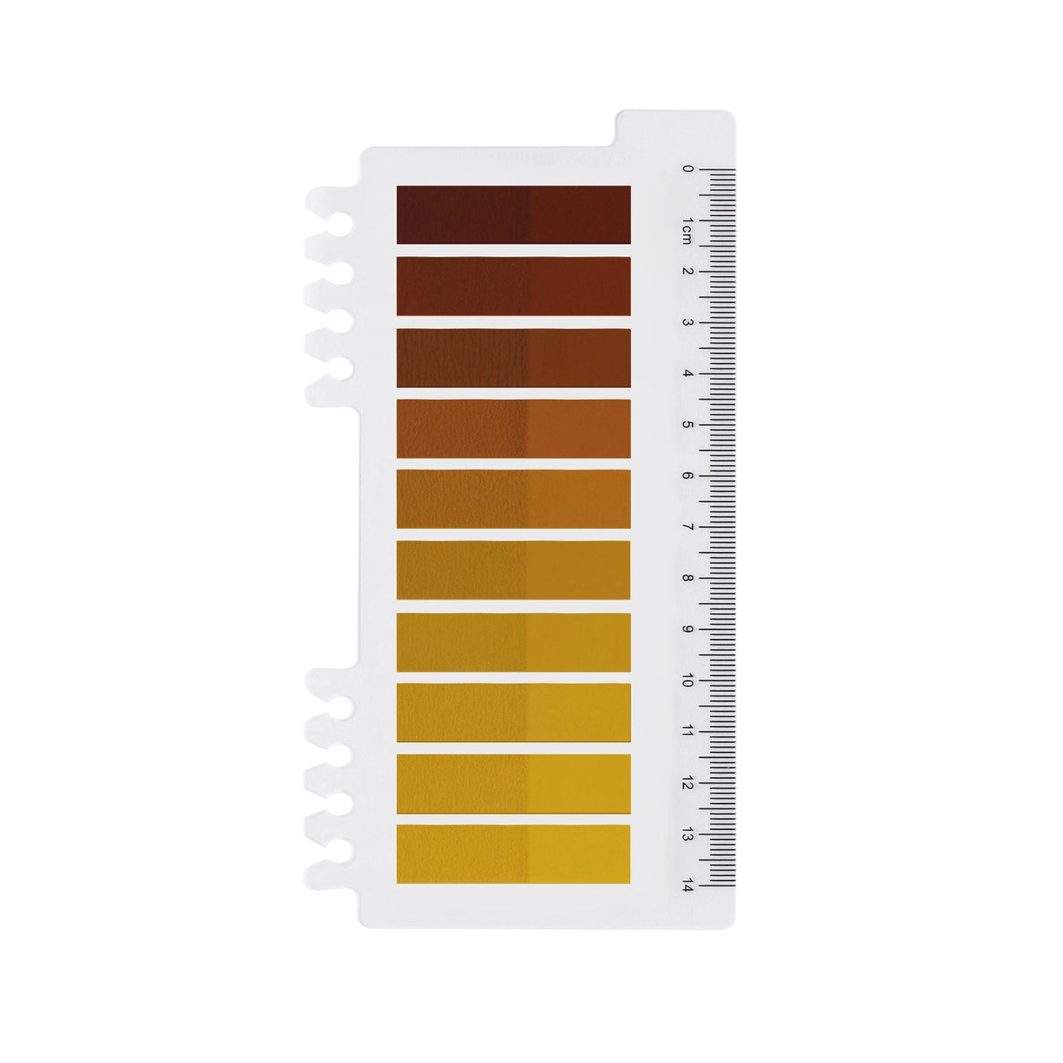 Sticky Notes 10 colors - Caramel Amber