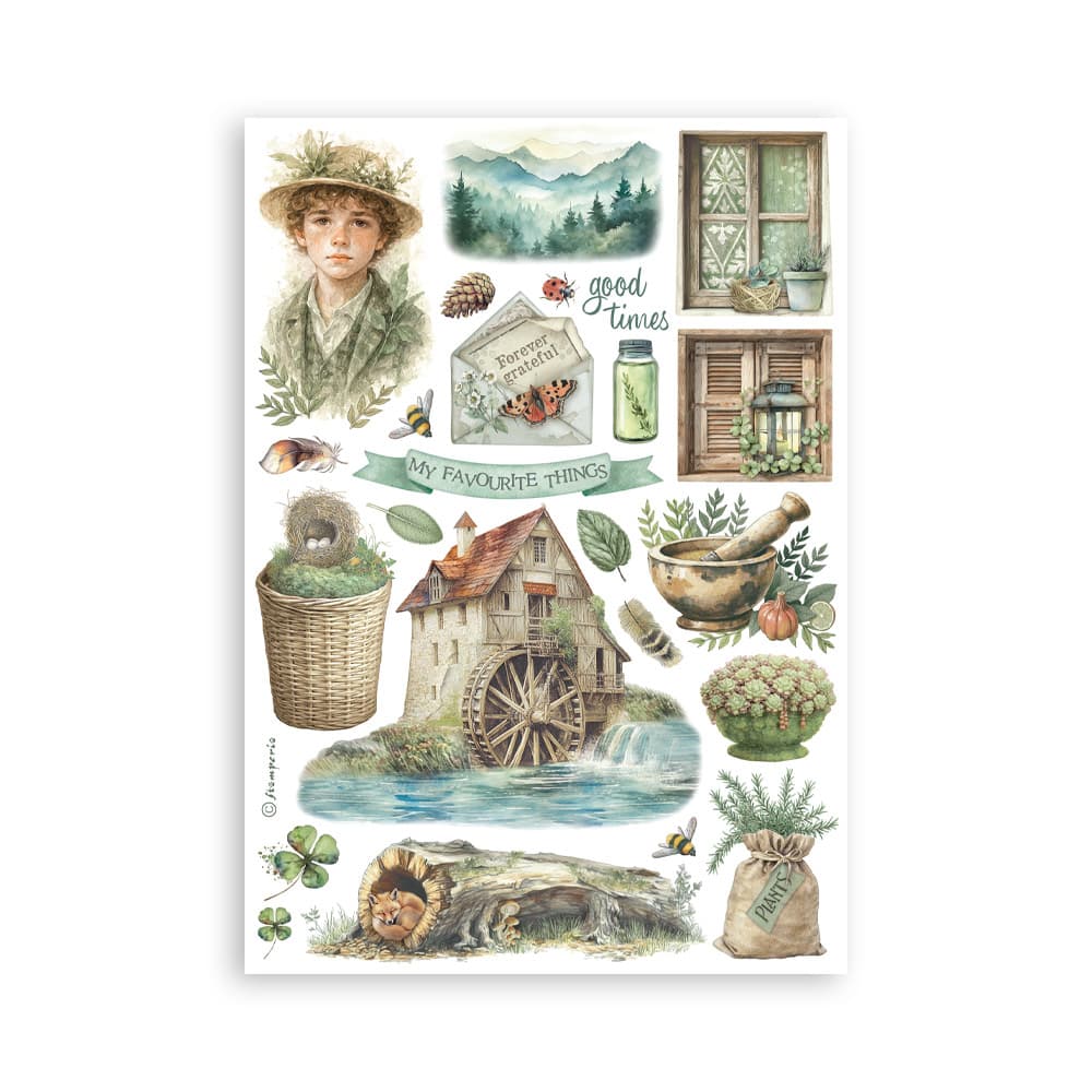 Washi pad - Herbarium Silvae