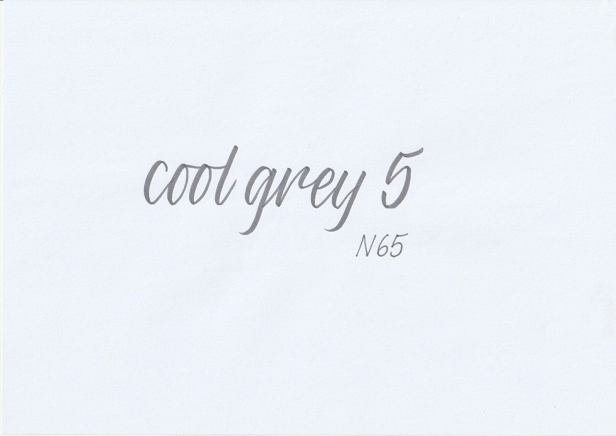 ABT Dual Brush pen - N65 Cool gray 5 - 3 - Tombow - Tidformera