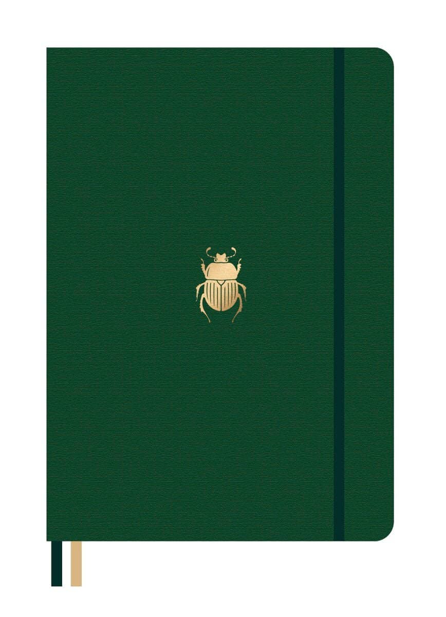 Anteckningsbok B5 PRO Beetle Linjerad - 1 - Dingbats* - Tidformera