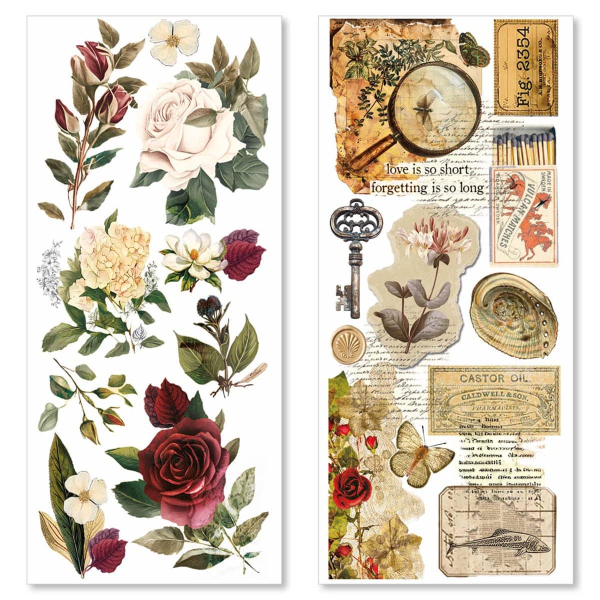 Art stickers 5 - pack - Cabinet of Curiosities - 3 - Ciao Bella - Tidformera