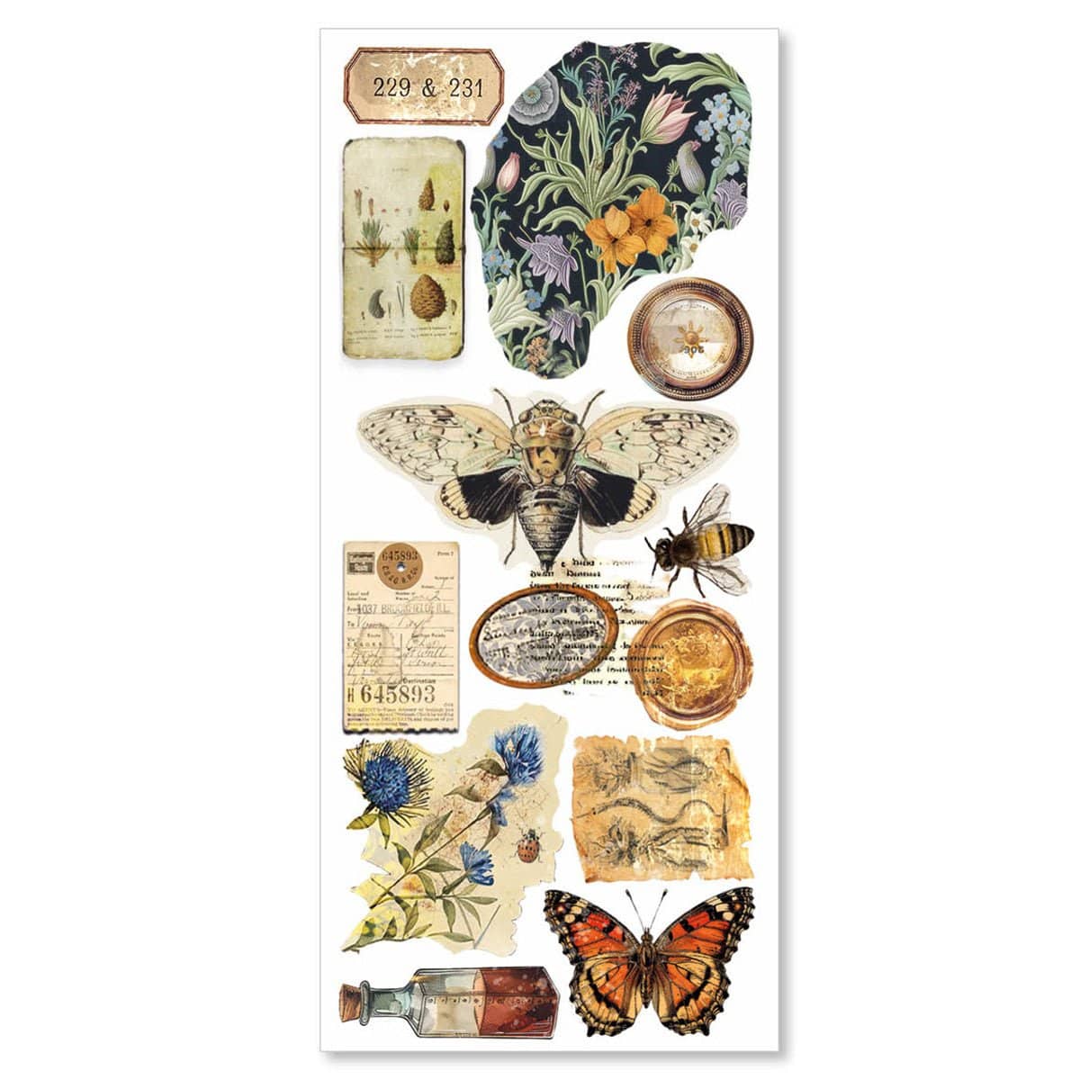 Art stickers 5 - pack - Cabinet of Curiosities - 4 - Ciao Bella - Tidformera