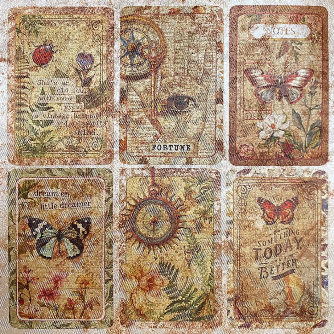 Deluxe Paper 15 x 15 cm - Pearl - Cabinet of Curiosities - 5 - pack - 6 - Ciao Bella - Tidformera