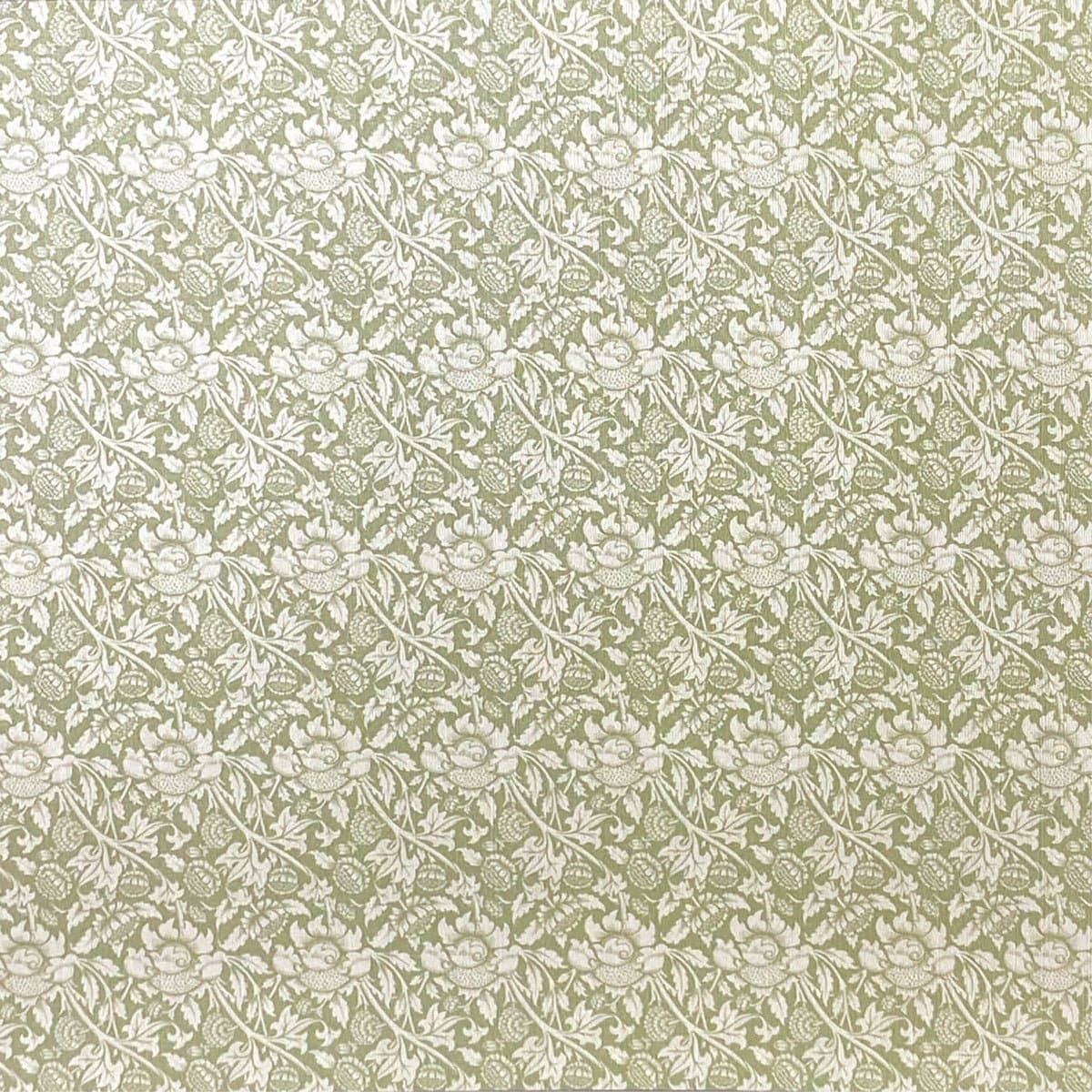 Deluxe Paper 15 x 15 cm - Pearl - Timeless Moments - 5 - pack - 5 - Ciao Bella - Tidformera