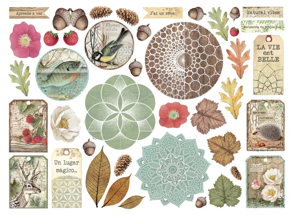 Die cuts Forest Assorted 41 st - 2 - Stamperia - Tidformera