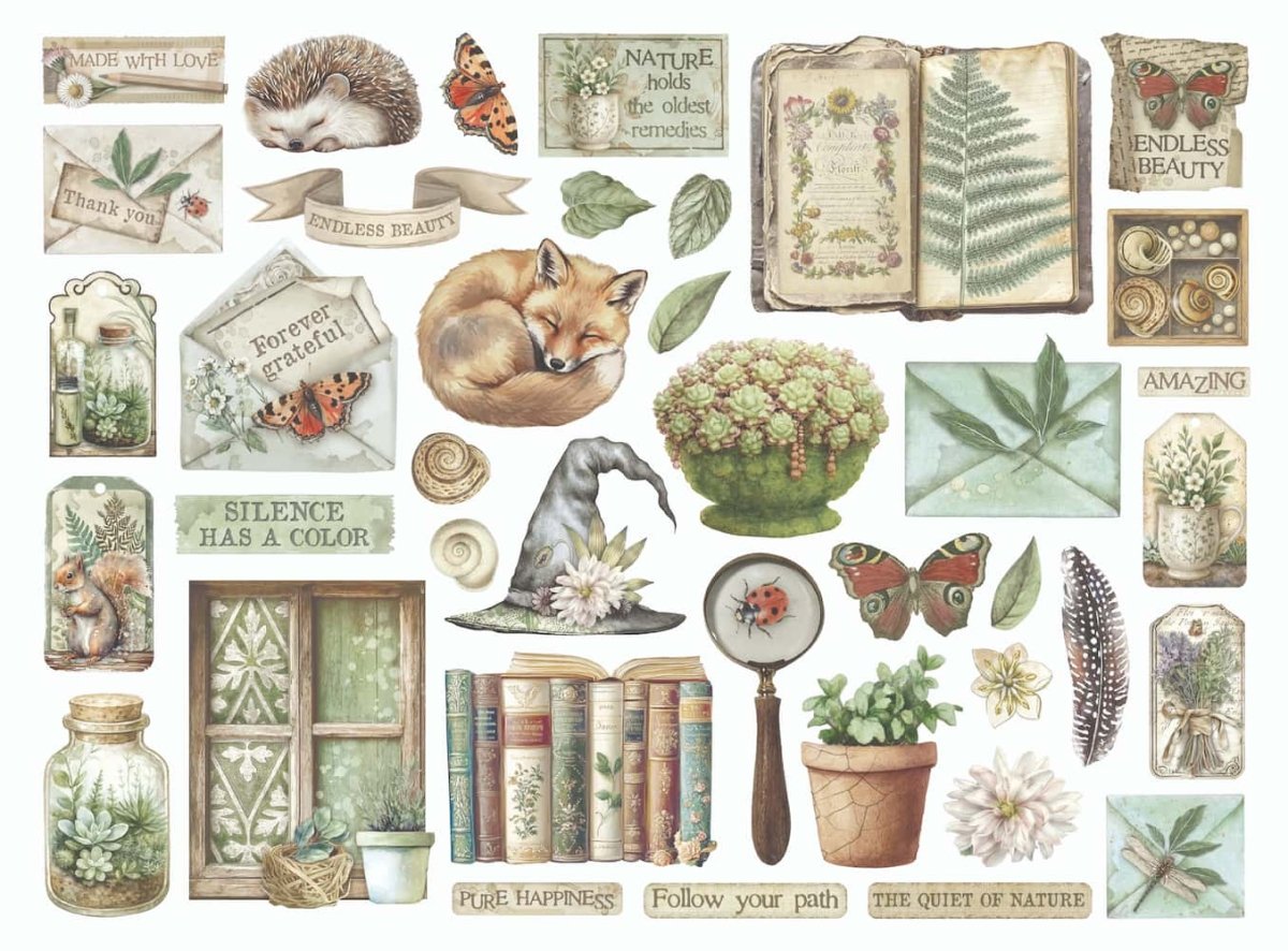 Die cuts - Herbarium Silvae - Assorted - 2 - Stamperia - Tidformera