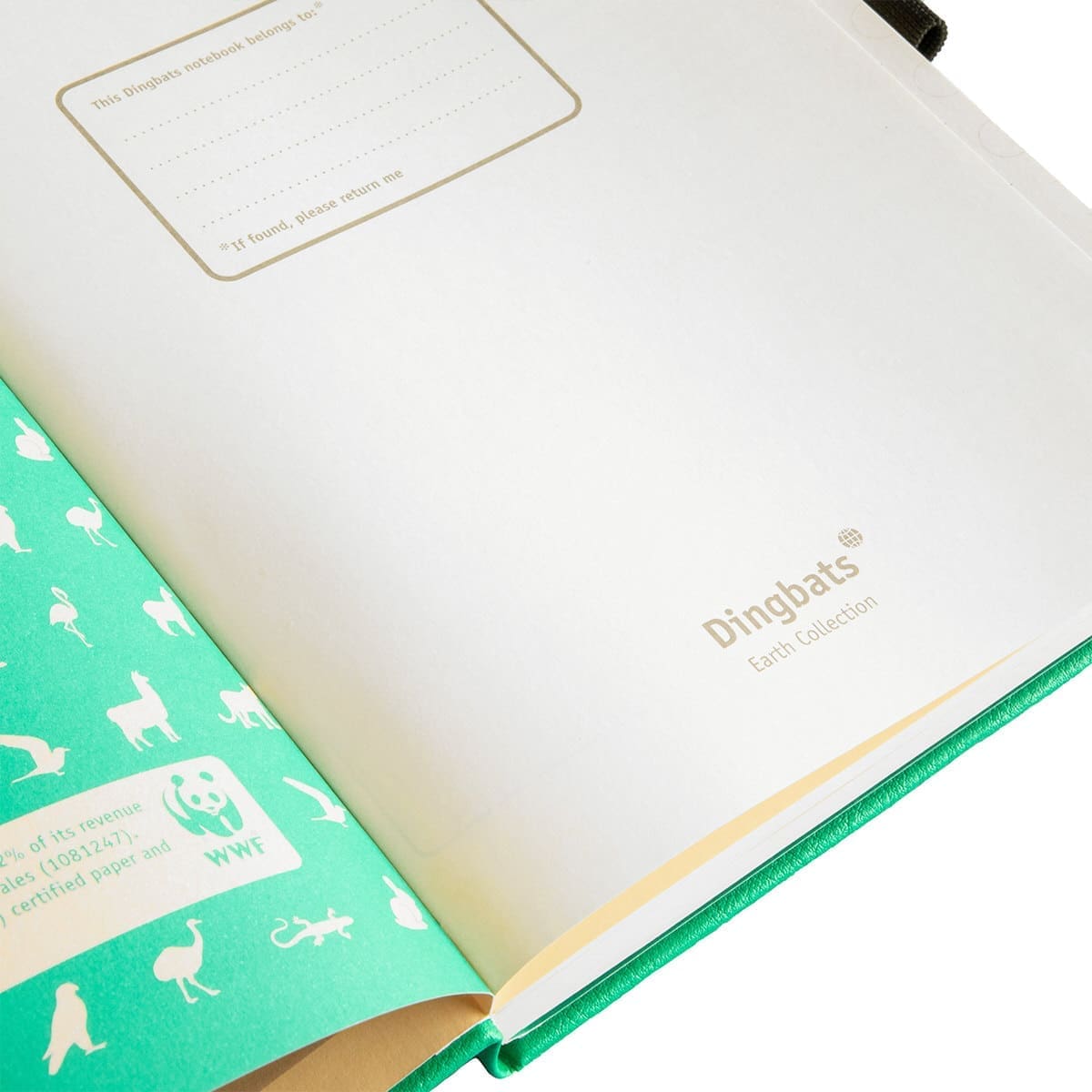 Dotted notebook Earth Collection - Emerald Eduardo Avaroa - Dingbats* - Tidformera