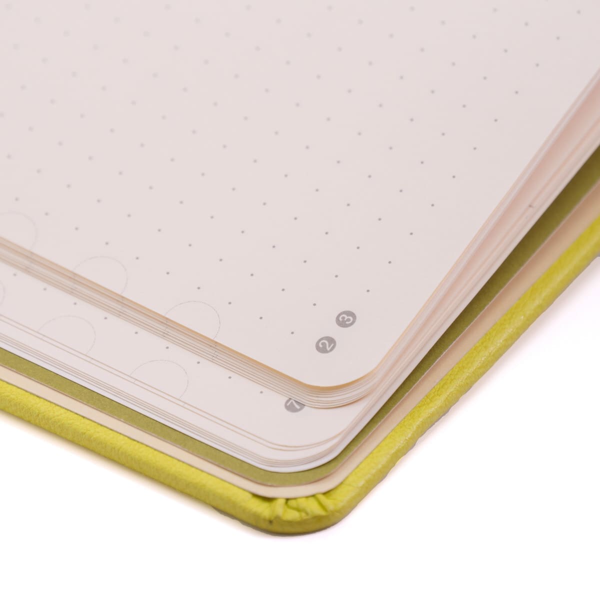 Dotted notebook Earth Collection - Lime Yasuni - Dingbats* - Tidformera