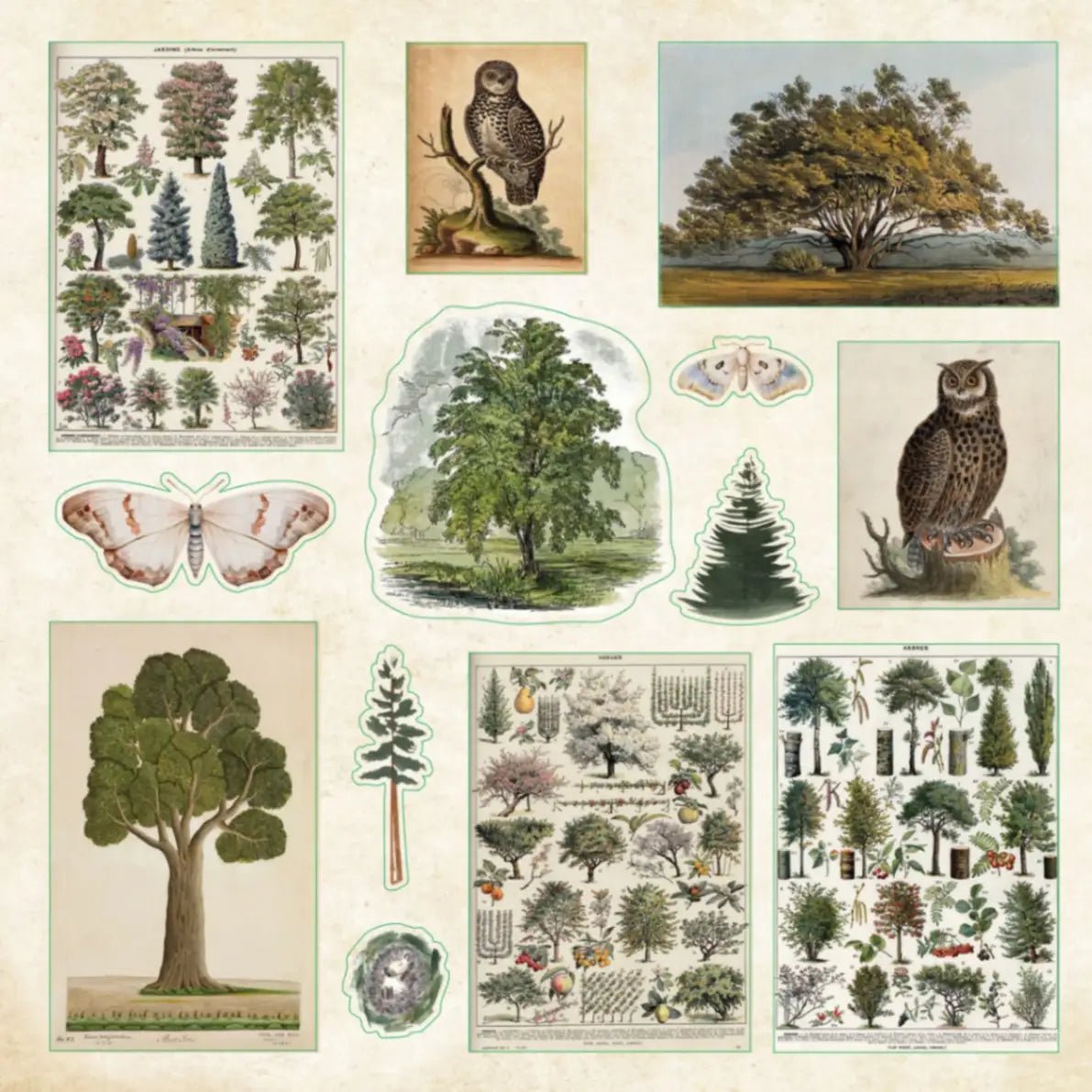 Enchanted Forest Sticker book - 3 - Peter Pauper Press - Tidformera