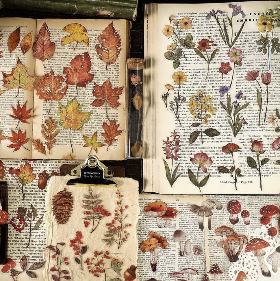 Flake stickers Forest fun - Deep Valley Leaves - 4 - Other - Tidformera