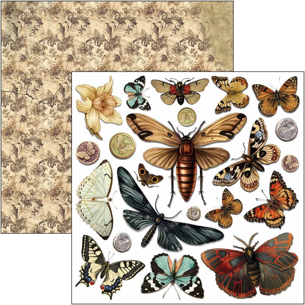 Fussy Cut Pad 24 - pack - Cabinet of curiosities - 9 - Ciao Bella - Tidformera