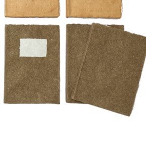 Fyndhörna - Codex Notebook - Nature - 1 - Tidformera - Tidformera