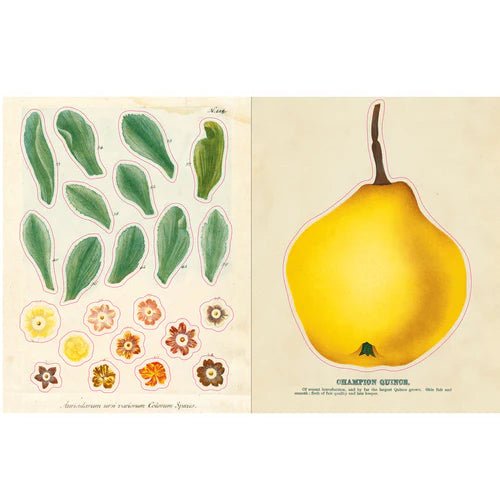 John Derian - Sticker Book - A treasure trove of 700 stickers - 2 - Other - Tidformera