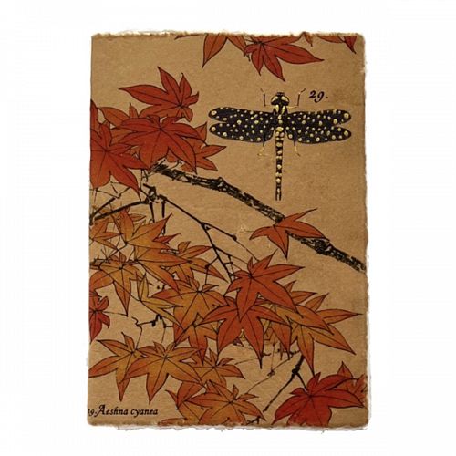 Liasse Trésor Thé Notebook N29 från Lamali. En brun skrivbok med en trollslända och lönnlöv på. Tidformera