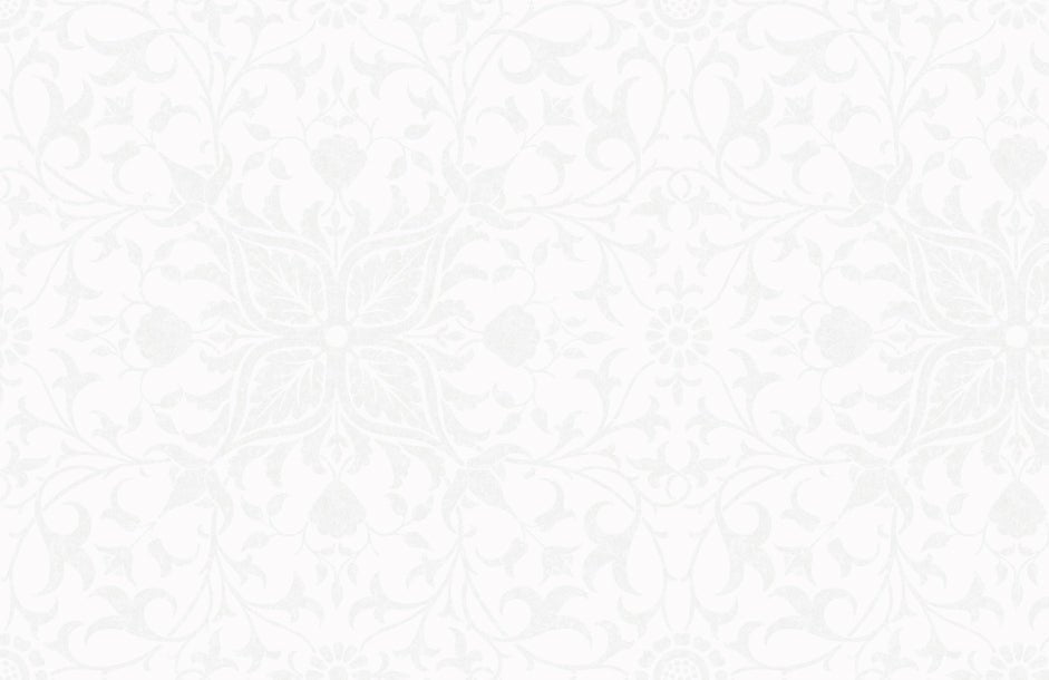 Vitt växtliknandemönster på vitt bakgrund. Så ser mt Casa Fleece - Morris & Co - Pure Net ceiling Embroidery Paper white från MT masking tape ut. - Tidformera