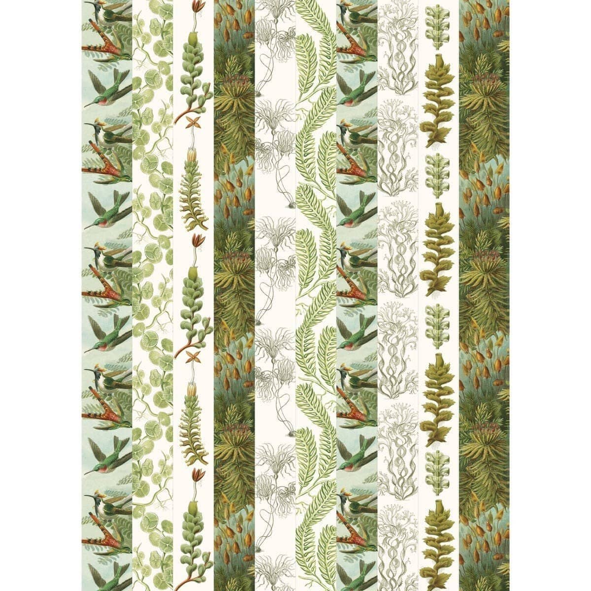 Pepin Labels, stickers & tape Sticker book - Art forms in nature - 3 - Pepin Press - Tidformera