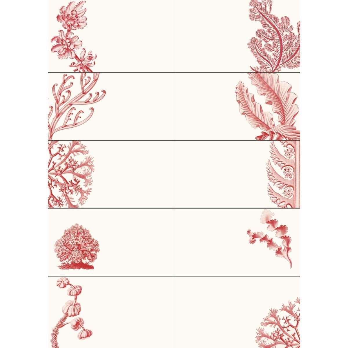 Pepin Labels, stickers & tape Sticker book - Art forms in nature - 5 - Pepin Press - Tidformera