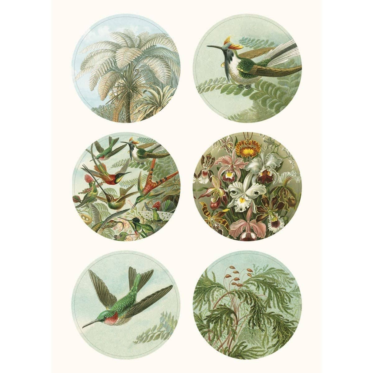 Pepin Labels, stickers & tape Sticker book - Art forms in nature - 7 - Pepin Press - Tidformera