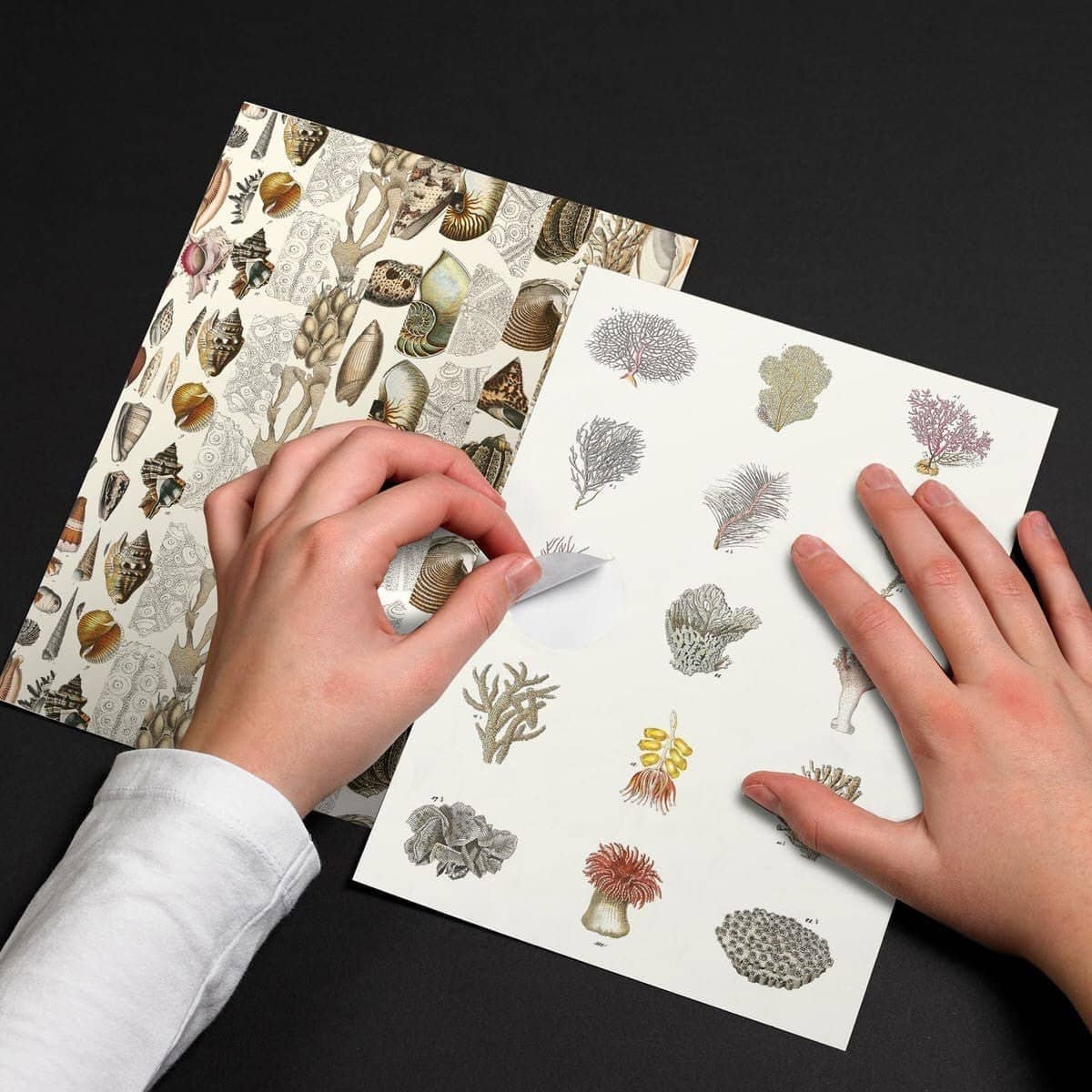 Pepin Labels, stickers & tape Sticker book - Marine - 2 - Pepin Press - Tidformera