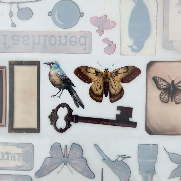 Pet Tape - MIC - Collectables Glossy & Embossed 60 mm - 2 - MIC & MIM Premium Paper Shop - Tidformera