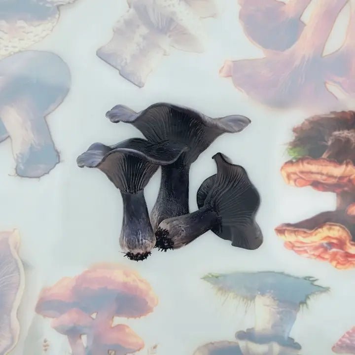 Pet Tape - MIC - Mushrooms Glossy & Embossed 60 mm - 4 - MIC & MIM Premium Paper Shop - Tidformera