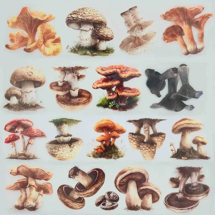 Pet Tape - MIC - Mushrooms Glossy & Embossed 60 mm - 2 - MIC & MIM Premium Paper Shop - Tidformera