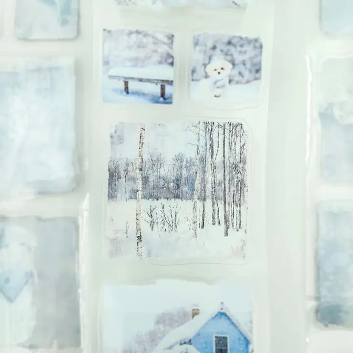 Pet Tape Pre - cut - MIC - Whispers of Frost 70 mm - 5 - MIC & MIM Premium Paper Shop - Tidformera