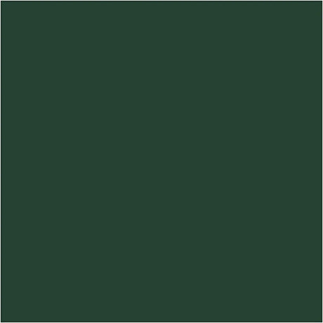 Plus Color Hobbyfärg - Akrylfärg 60 ml Matt - Mörkgrön - 2 - Creative Company - Tidformera