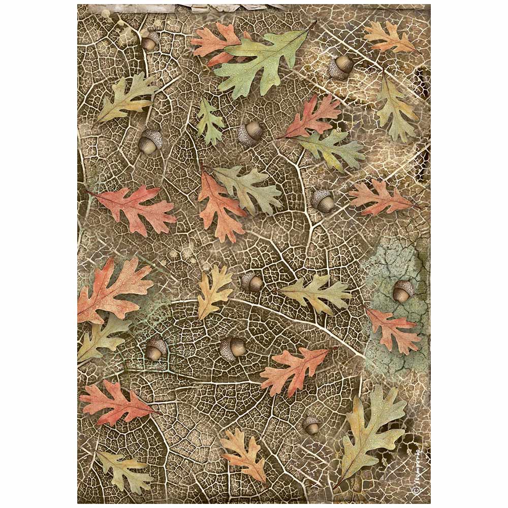 Rice Paper A4 - Forest - Acorns and Leaves - 1 - Stamperia - Tidformera