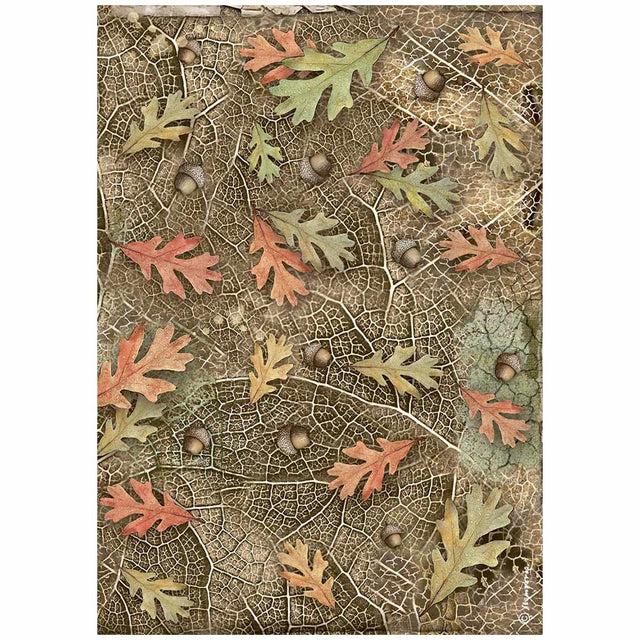 Rice Paper A4 - Forest - Acorns and Leaves - 1 - Stamperia - Tidformera