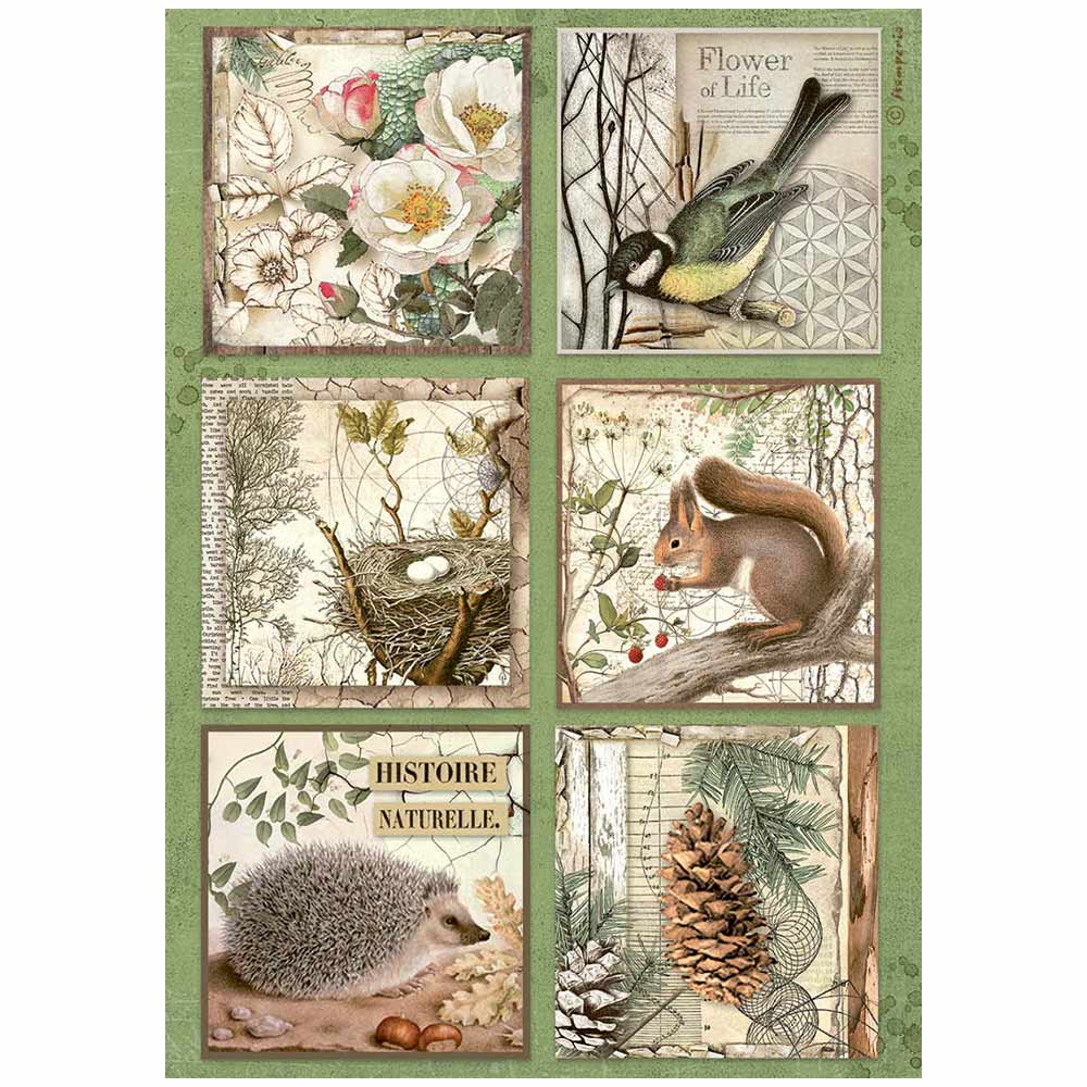 Rice Paper A4 - Forest - Cards - 1 - Stamperia - Tidformera