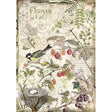 Rice Paper A4 - Forest flowers and fruits - 1 - Stamperia - Tidformera