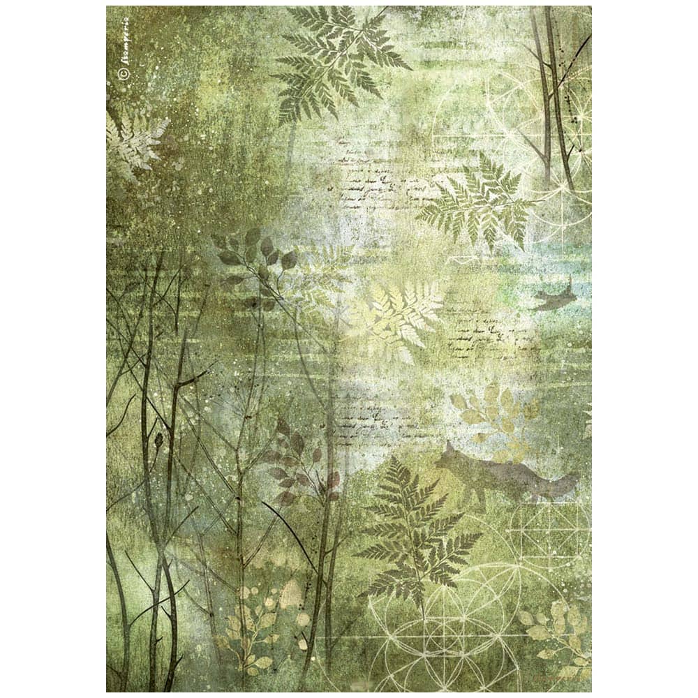 Rice Paper A4 - Forest - Trees - 1 - Stamperia - Tidformera