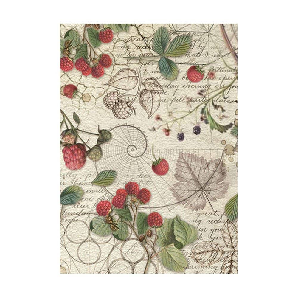 Rice Paper A6 - Forest - 8 - pack - 4 - Stamperia - Tidformera