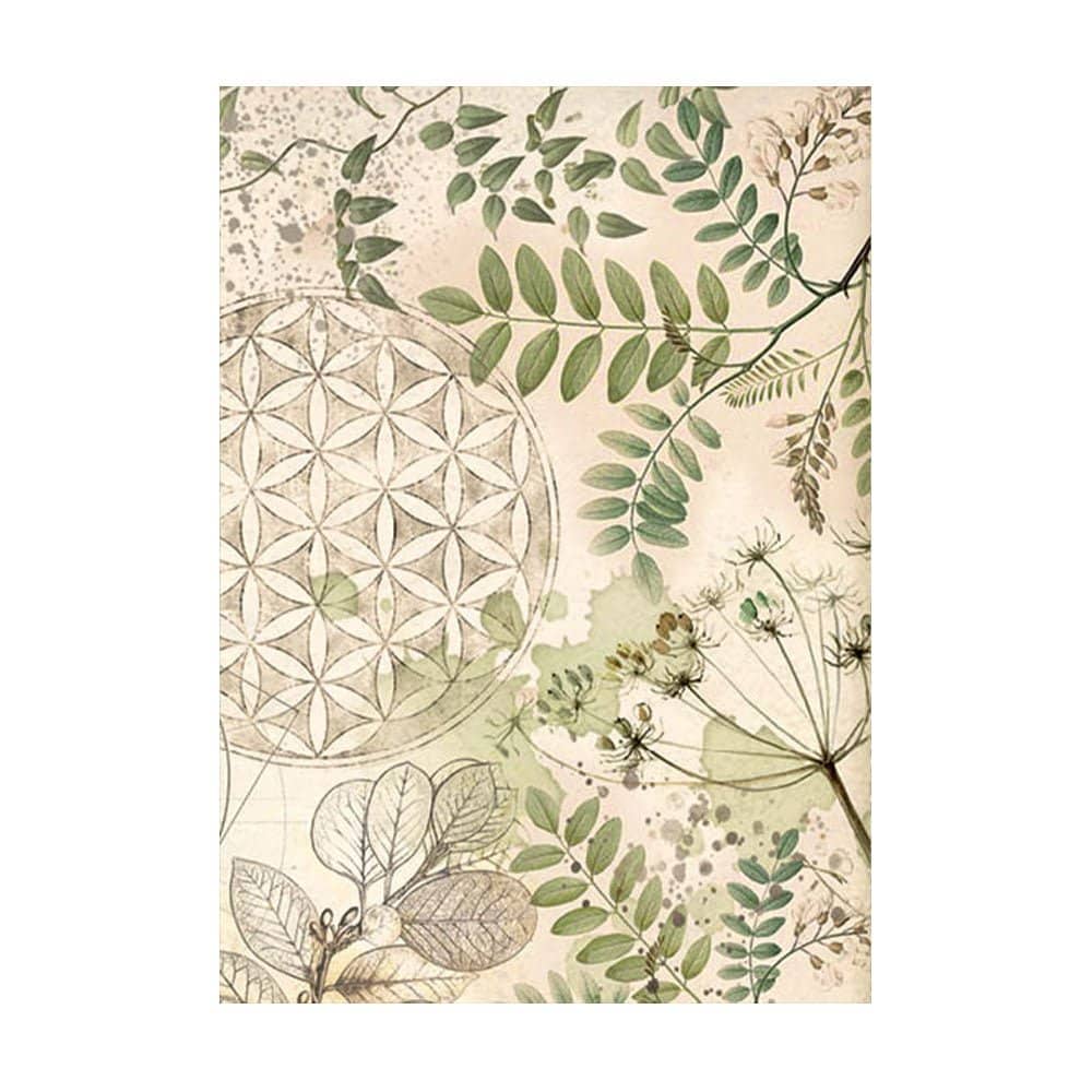 Rice Paper A6 - Forest - 8 - pack - 3 - Stamperia - Tidformera