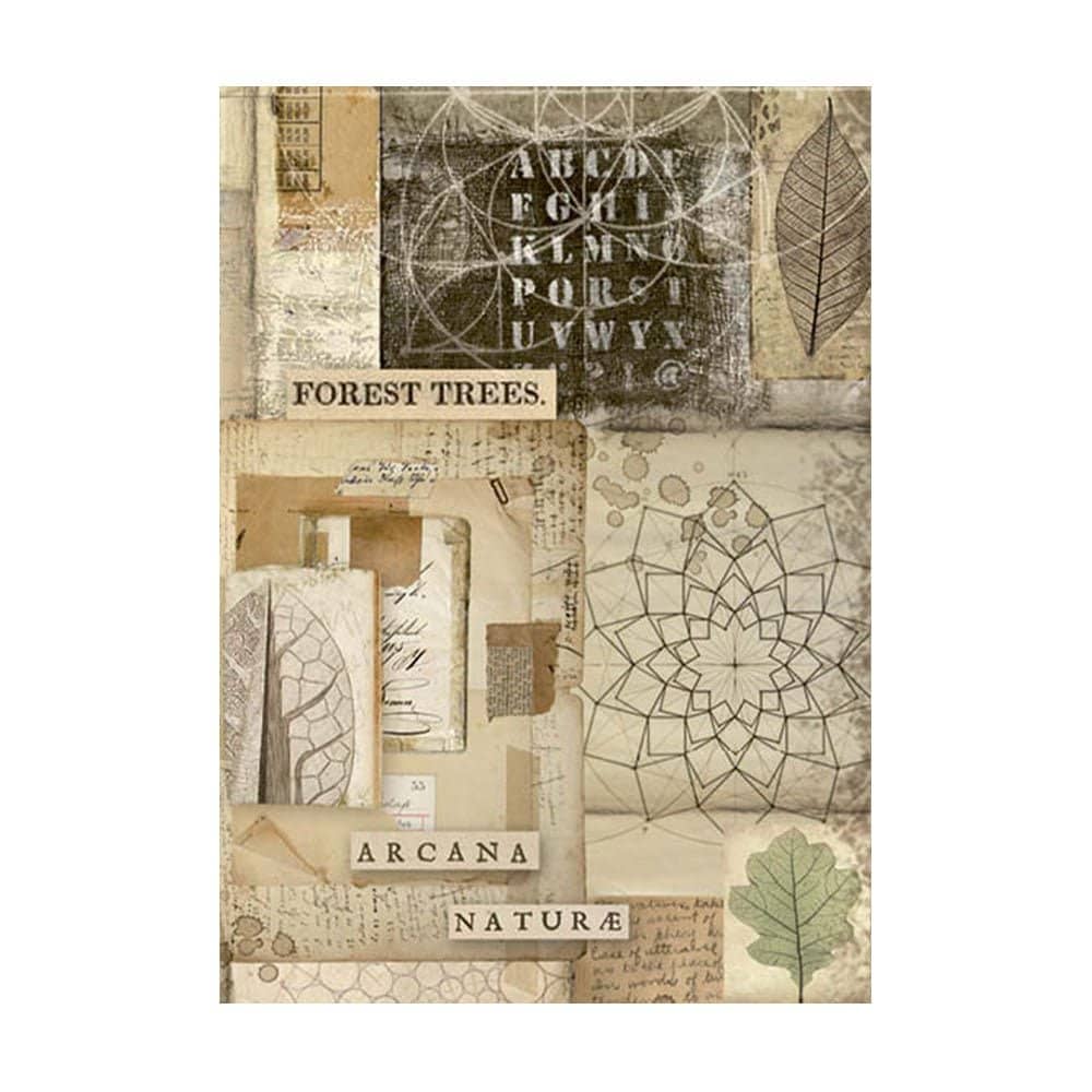 Rice Paper A6 - Forest - 8 - pack - 5 - Stamperia - Tidformera