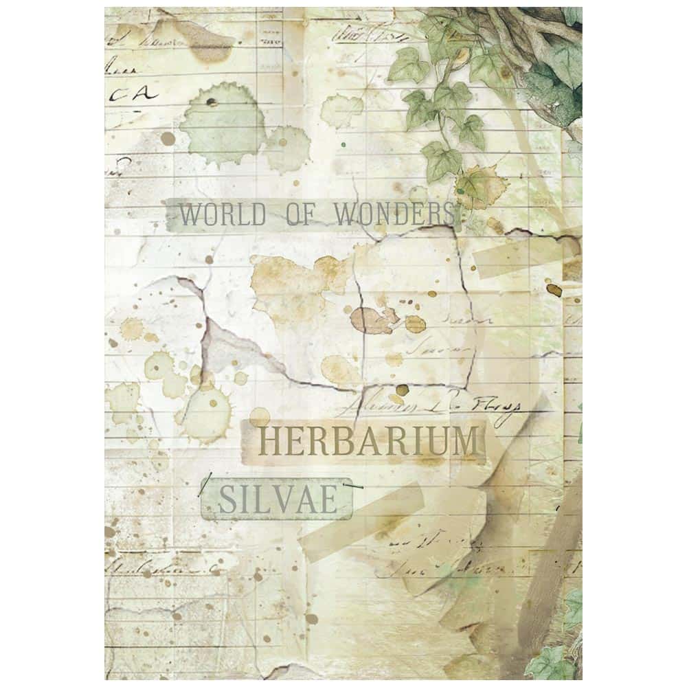 Rice Paper A6 - Herbarium Silvae - Backgrounds - 8 - pack - 3 - Stamperia - Tidformera