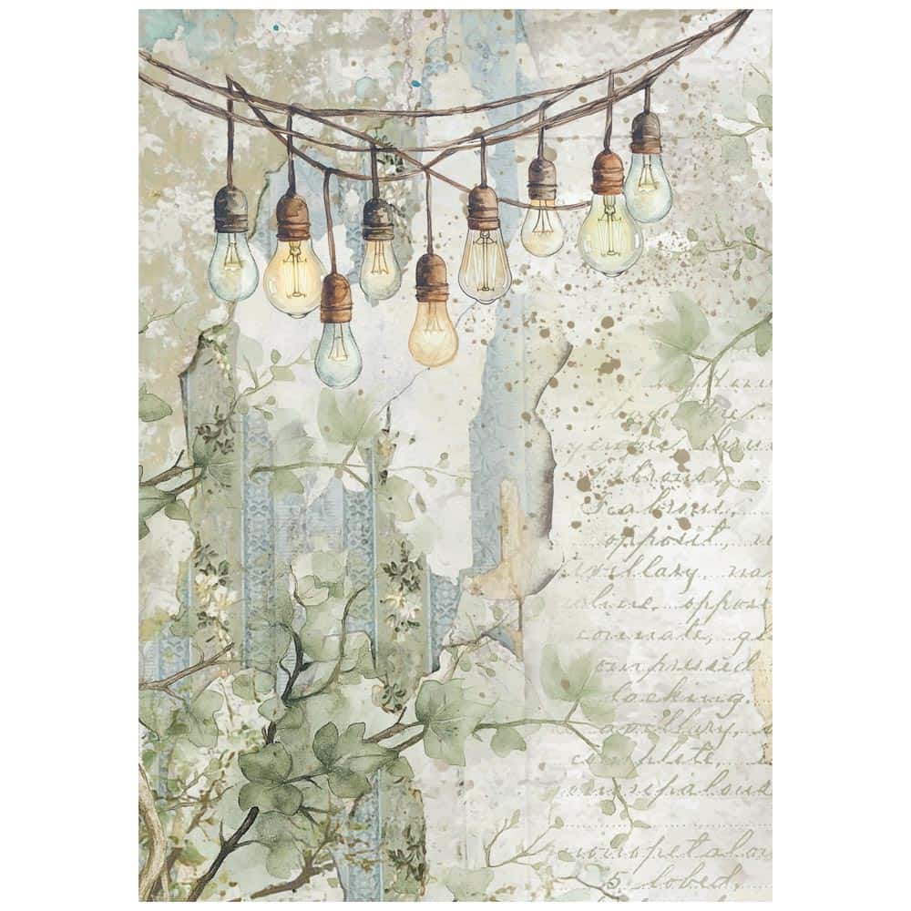 Rice Paper A6 - Herbarium Silvae - Backgrounds - 8 - pack - 2 - Stamperia - Tidformera