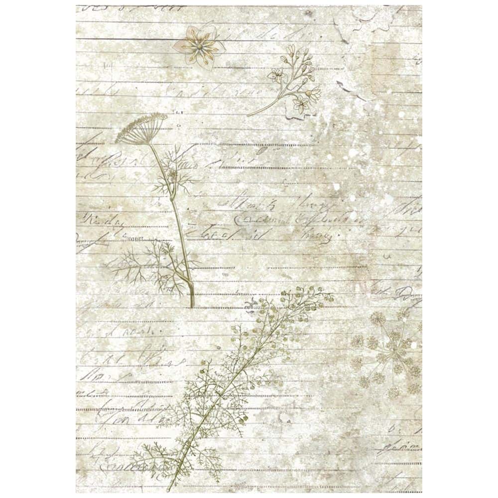 Rice Paper A6 - Herbarium Silvae - Backgrounds - 8 - pack - 4 - Stamperia - Tidformera