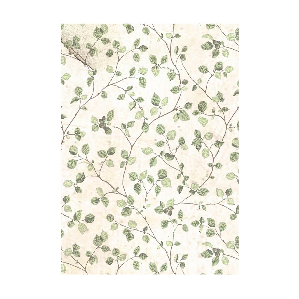 Rice Paper A6 - House of Roses - 8 - pack - 8 - Stamperia - Tidformera