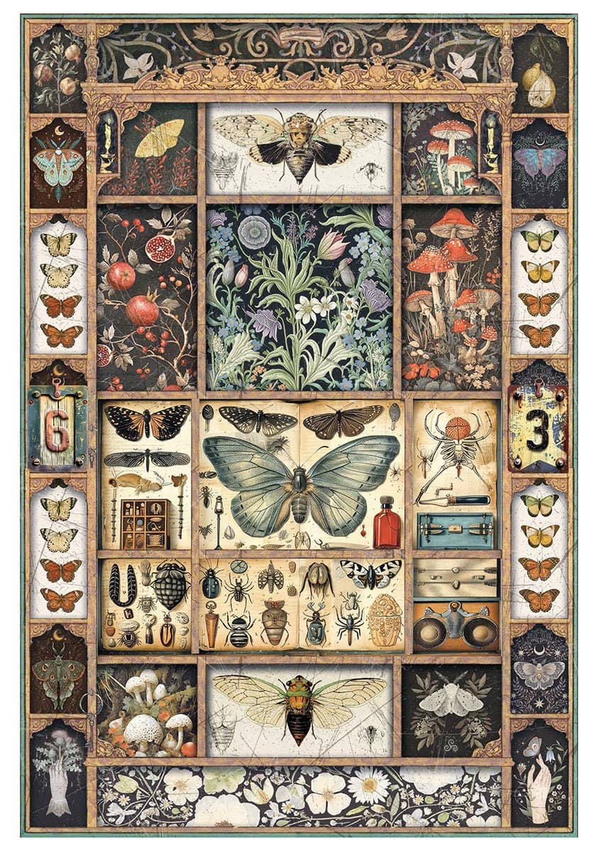 Rice Paper Art set - A4 - 4 - pack - Cabinet of Curiosities - 5 - Ciao Bella - Tidformera
