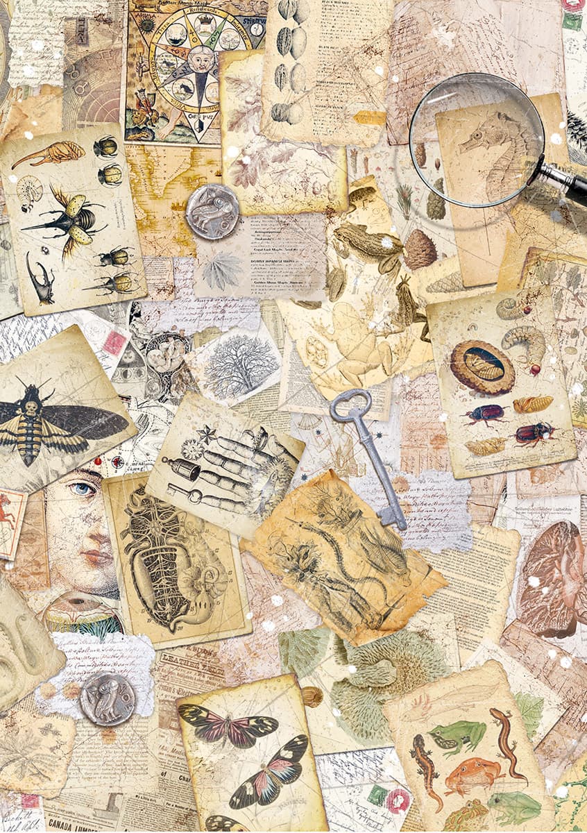 Rice Paper Art set - A5 - 8 - pack - Cabinet of Curiosities - 9 - Ciao Bella - Tidformera