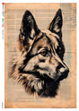 Rice Paper Decoupage - A5 - Animals 0222 - 1 - Paper Designs - Tidformera