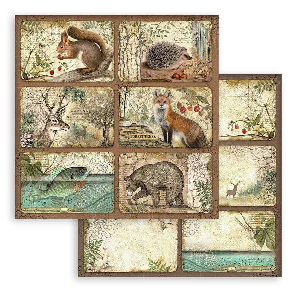 Scrapbookingpapper - Backgrounds - Forest - 5 - Stamperia - Tidformera